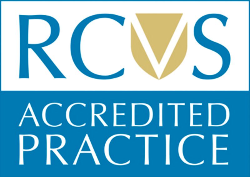 rcvs-practice-standards-scheme-062c3f8ba4356a