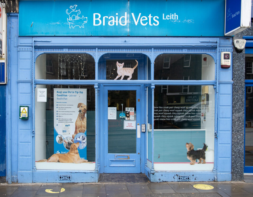 Braid Vets (Web) 101