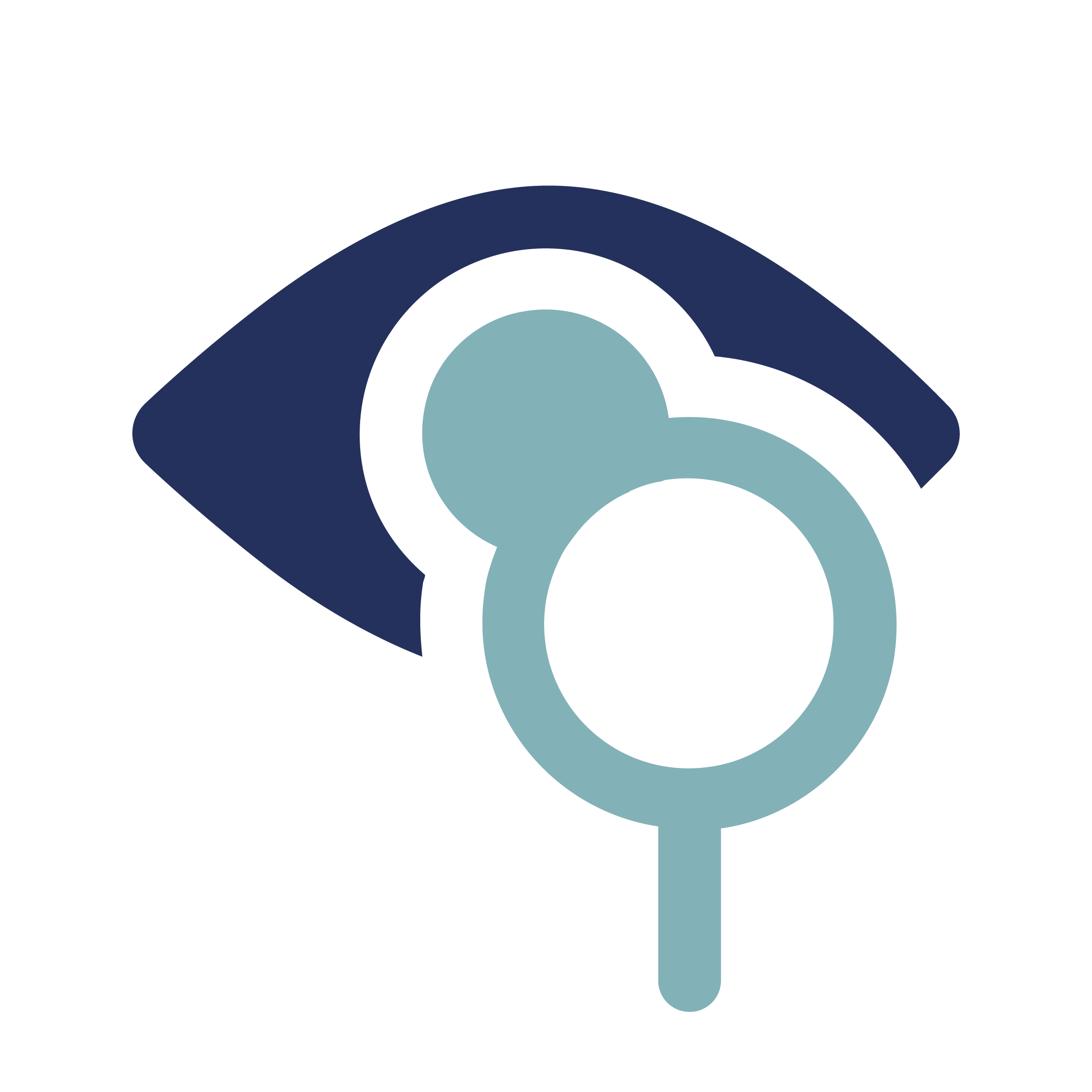 Abstract design featuring a stylized eye in dark blue with concentric circles and vertical lines inside. A gray magnifying glass overlaps the eye, suggesting the concept of vision or search. The background is white.