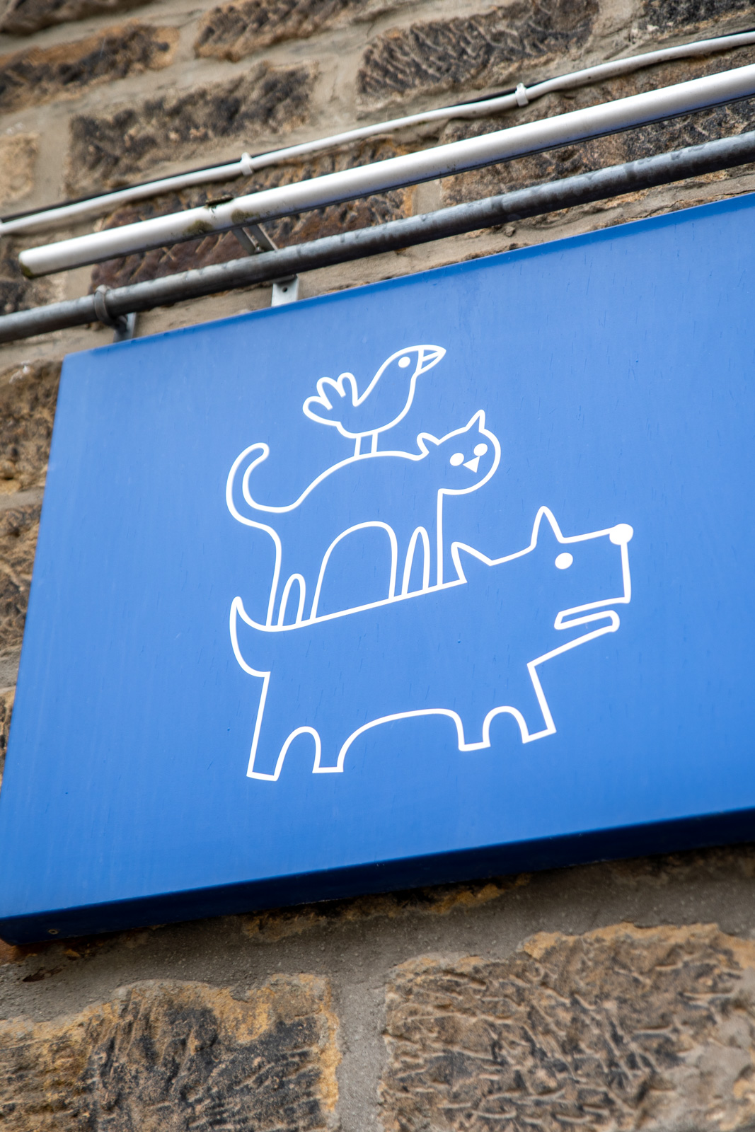 A blue sign with a white line drawing depicting a dog, a cat standing on the dog, and a bird perched on the cats back, mounted on a stone wall.