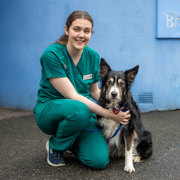 A person in green scrubs is kneeling next to a black and white dog with a blue leash. They are both in front of a blue wall. The person is smiling and patting the dog, who is sitting on the wet pavement.
